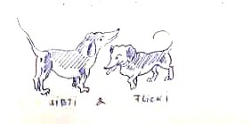 1954SiptiFlicki.jpg